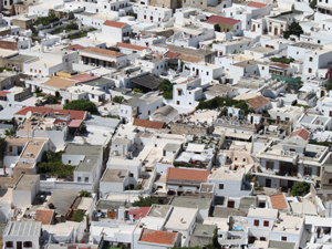 Picture of the author